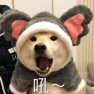 刘纪延